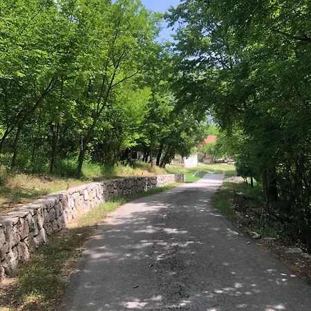 Ana Apartman