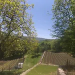 Ana Apartament