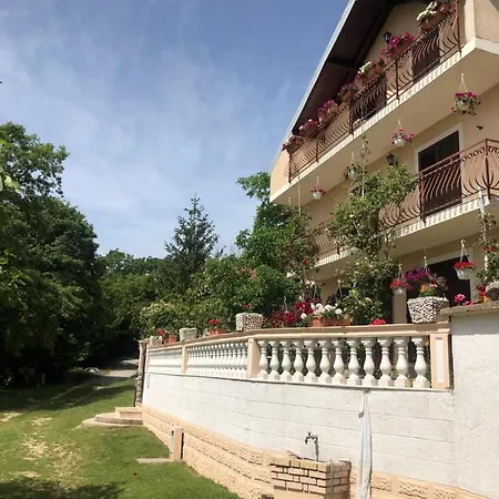 Apartment Ana *